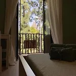 Duomo Treehouse